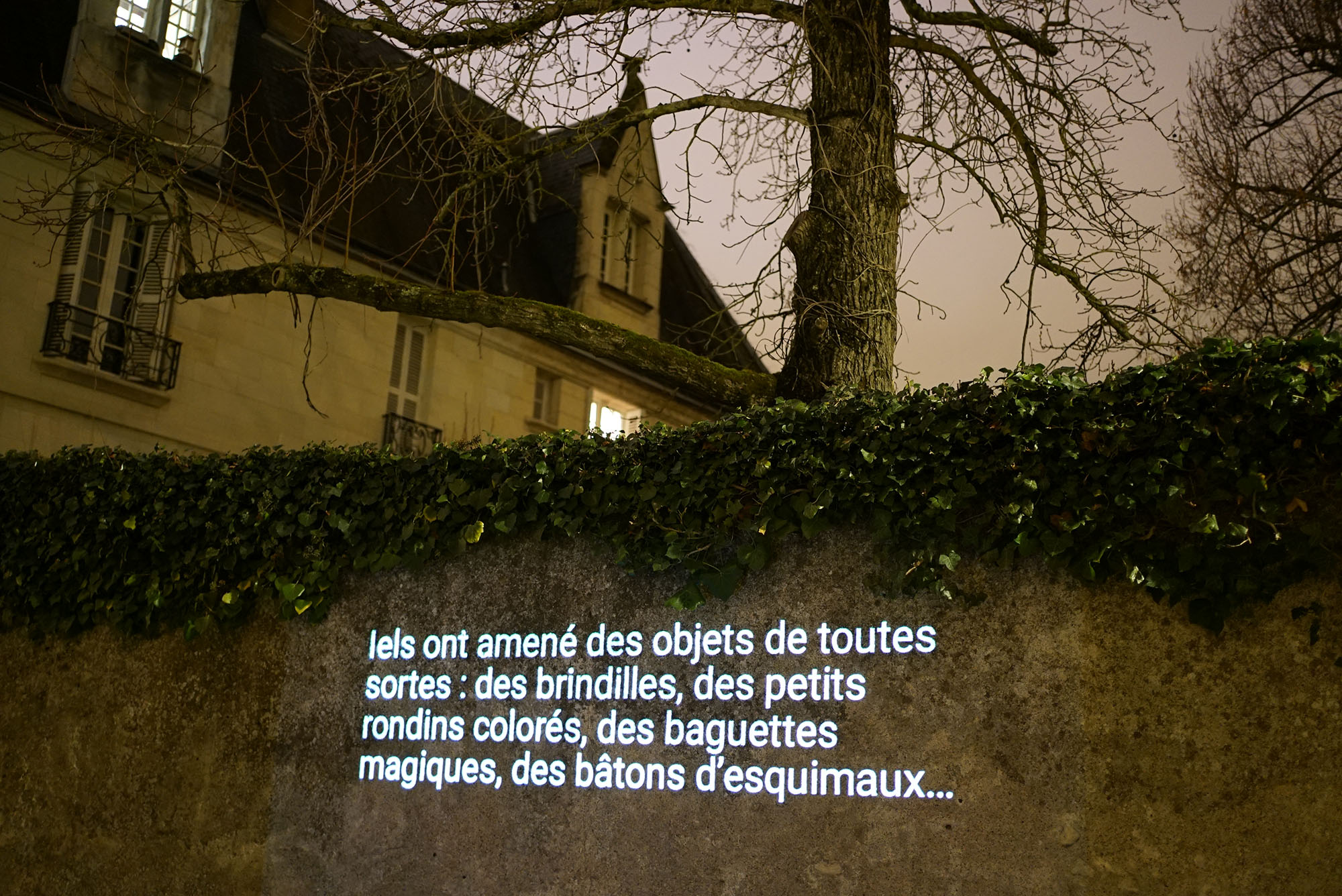 petiteImage4QPLNJPG